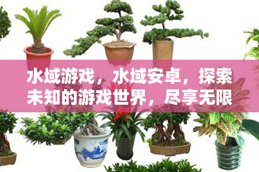 水域游戏，水域安卓，探索未知的游戏世界，尽享无限可能