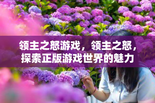 领主之怒游戏，领主之怒，探索正版游戏世界的魅力