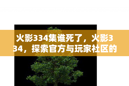 火影334集谁死了，火影334，探索官方与玩家社区的互动新篇章