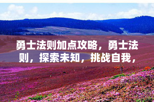勇士法则加点攻略，勇士法则，探索未知，挑战自我，成就传奇