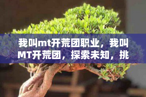 我叫mt开荒团职业，我叫MT开荒团，探索未知，挑战自我