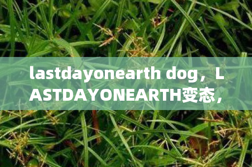 lastdayonearth dog，LASTDAYONEARTH变态，探索未知世界的极致体验