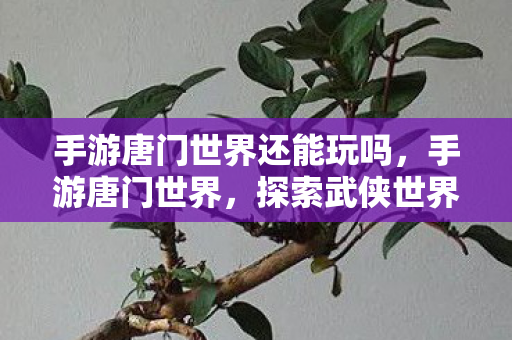 手游唐门世界还能玩吗，手游唐门世界，探索武侠世界的奇妙之旅