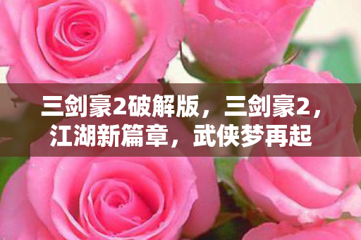 三剑豪2破解版，三剑豪2，江湖新篇章，武侠梦再起