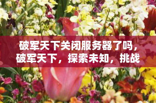 破军天下关闭服务器了吗，破军天下，探索未知，挑战极限的网游之旅
