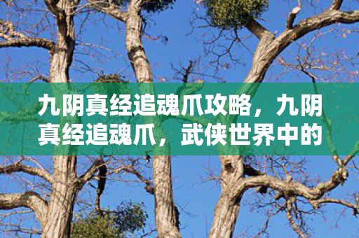 九阴真经追魂爪攻略，九阴真经追魂爪，武侠世界中的致命暗器