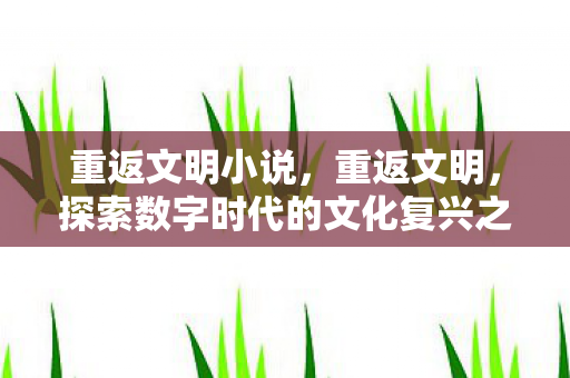 重返文明小说，重返文明，探索数字时代的文化复兴之路