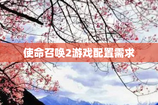 使命召唤2游戏配置需求