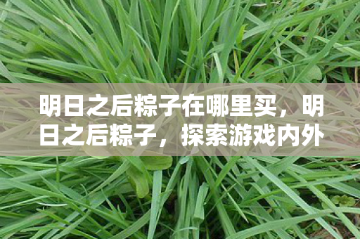 明日之后粽子在哪里买，明日之后粽子，探索游戏内外的美味与文化传承