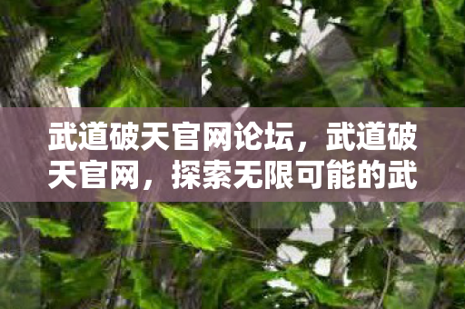 武道破天官网论坛，武道破天官网，探索无限可能的武侠世界