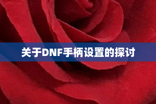 关于DNF手柄设置的探讨