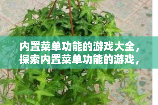 内置菜单功能的游戏大全，探索内置菜单功能的游戏，解锁无限可能的娱乐新体验