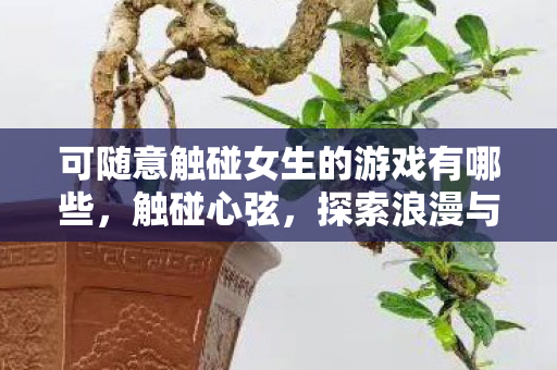 可随意触碰女生的游戏有哪些，触碰心弦，探索浪漫与冒险的奇妙游戏世界