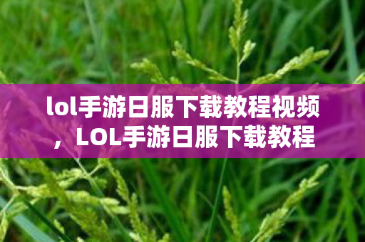 lol手游日服下载教程视频，LOL手游日服下载教程