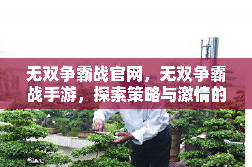 无双争霸战官网，无双争霸战手游，探索策略与激情的无限可能