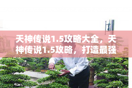 天神传说1.5攻略大全，天神传说1.5攻略，打造最强角色的全面指南