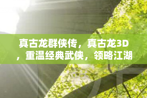 真古龙群侠传，真古龙3D，重温经典武侠，领略江湖风情