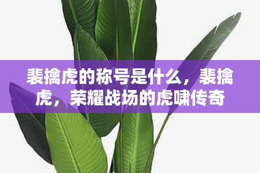 裴擒虎的称号是什么，裴擒虎，荣耀战场的虎啸传奇