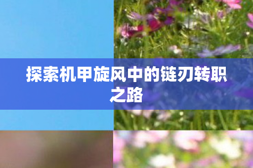 探索机甲旋风中的链刃转职之路