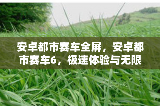 安卓都市赛车全屏，安卓都市赛车6，极速体验与无限可能