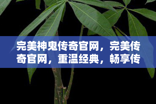 完美神鬼传奇官网，完美传奇官网，重温经典，畅享传奇世界