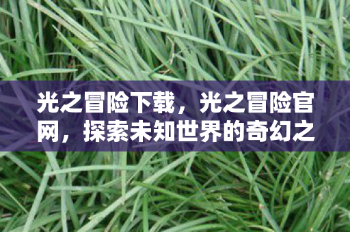 光之冒险下载，光之冒险官网，探索未知世界的奇幻之旅