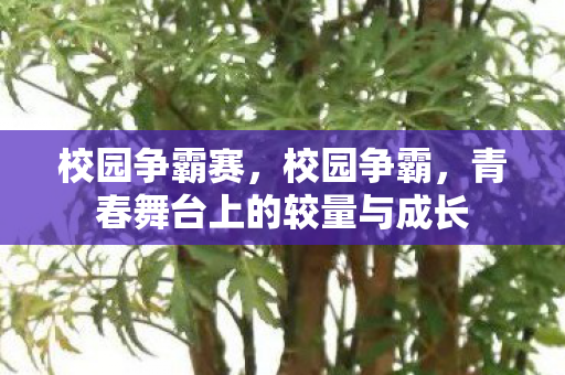 校园争霸赛，校园争霸，青春舞台上的较量与成长