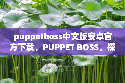 puppetboss中文版安卓官方下载，PUPPET BOSS，探索游戏背后的操控者