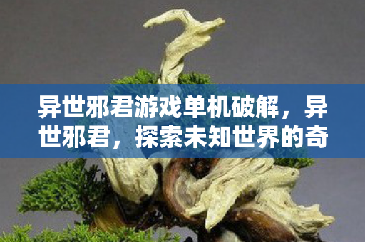 异世邪君游戏单机破解，异世邪君，探索未知世界的奇幻之旅