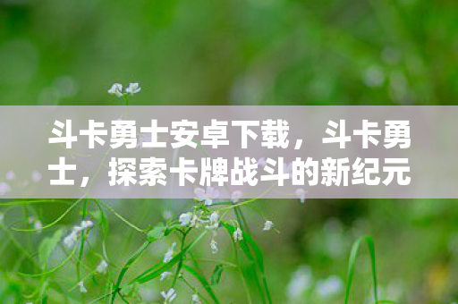 斗卡勇士安卓下载，斗卡勇士，探索卡牌战斗的新纪元