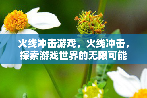 火线冲击游戏，火线冲击，探索游戏世界的无限可能
