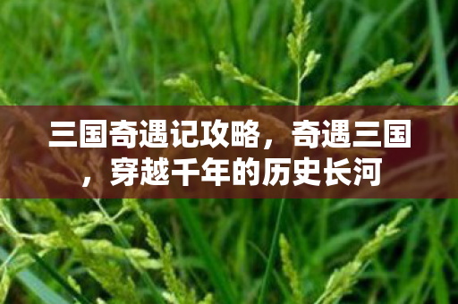 三国奇遇记攻略，奇遇三国，穿越千年的历史长河
