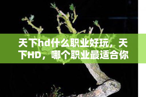 天下hd什么职业好玩，天下HD，哪个职业最适合你？