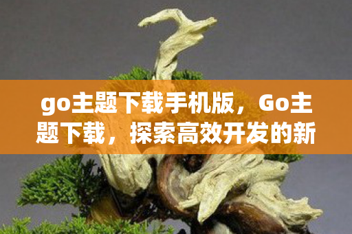 go主题下载手机版，Go主题下载，探索高效开发的新境界
