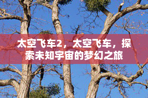 太空飞车2，太空飞车，探索未知宇宙的梦幻之旅