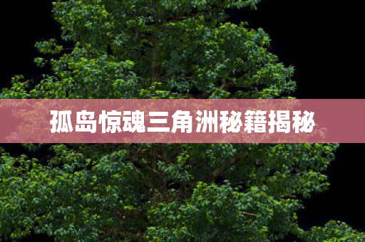 孤岛惊魂三角洲秘籍揭秘 孤岛惊魂三角洲秘籍揭秘