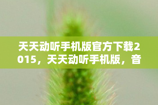 天天动听手机版官方下载2015，天天动听手机版，音乐之旅的随身伴侣
