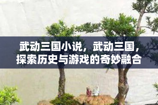 武动三国小说，武动三国，探索历史与游戏的奇妙融合