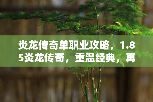 炎龙传奇单职业攻略，1.85炎龙传奇，重温经典，再燃激情