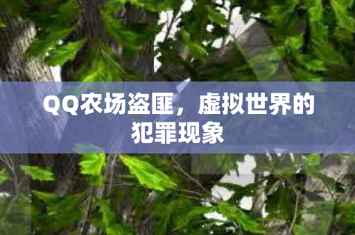 QQ农场盗匪,虚拟世界的犯罪现象 QQ农场盗匪,虚拟世界的犯罪现象