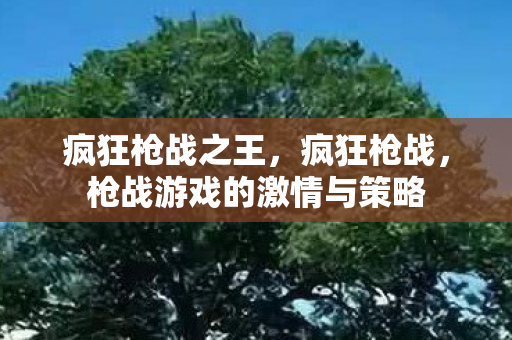 疯狂枪战之王，疯狂枪战，枪战游戏的激情与策略