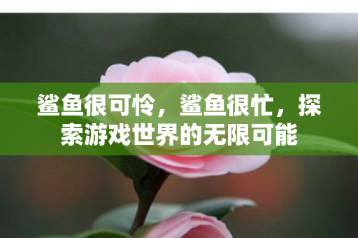 鲨鱼很可怜，鲨鱼很忙，探索游戏世界的无限可能