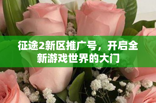 征途2新区推广号,开启全新游戏世界的大门 征途2新区推广号,开启全新游戏世界的大门