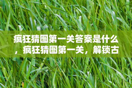 疯狂猜图第一关答案是什么，疯狂猜图第一关，解锁古老谜题，探寻智慧之光