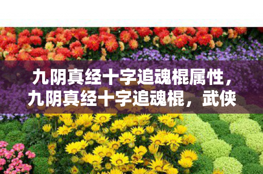 九阴真经十字追魂棍属性，九阴真经十字追魂棍，武侠世界中的神秘武器