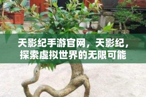 天影纪手游官网，天影纪，探索虚拟世界的无限可能