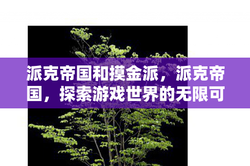 派克帝国和摸金派，派克帝国，探索游戏世界的无限可能