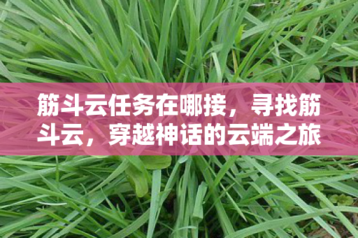 筋斗云任务在哪接，寻找筋斗云，穿越神话的云端之旅