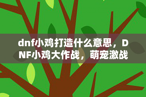 dnf小鸡打造什么意思，DNF小鸡大作战，萌宠激战，乐趣无限！