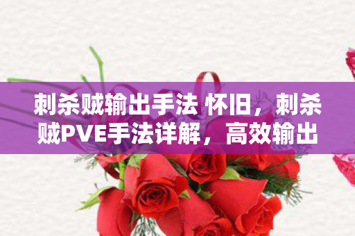 刺杀贼输出手法 怀旧，刺杀贼PVE手法详解，高效输出与生存策略